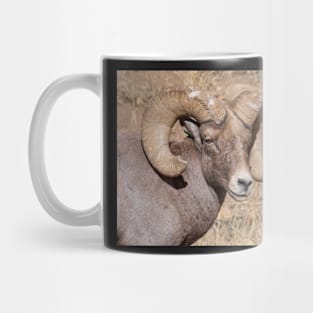 Ram Mug